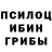 Псилоцибиновые грибы GOLDEN TEACHER aktiv