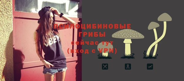 Альфа ПВП Абаза