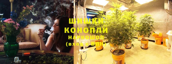 Альфа ПВП Абаза